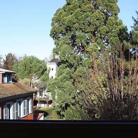 Superb Apt- Garden- 3 Parkings, Near Petite Venise ! Colmar Exterior photo